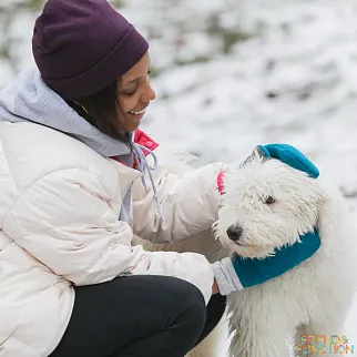 Шапка шерстяная Friend Function Сливовая