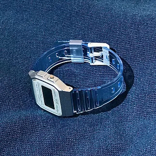Часы Casio F-91WS-2EF