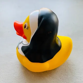 Утка Монашка