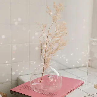 Ваза для проращивания авокадо