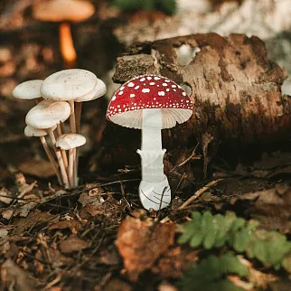 Деревянная брошка PlantMyBones Мухомор