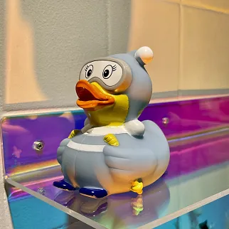 Утка Лыжница