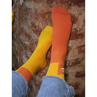 Носки Friend Function Котячьи 36-40