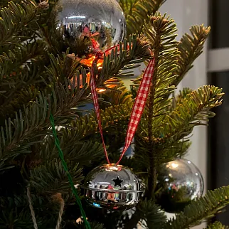 Колокольчики Jingle Bells REX