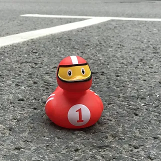 Утка Гонщик