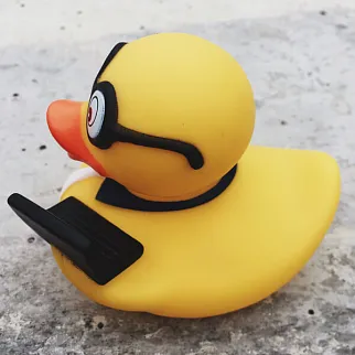 Утка Программист