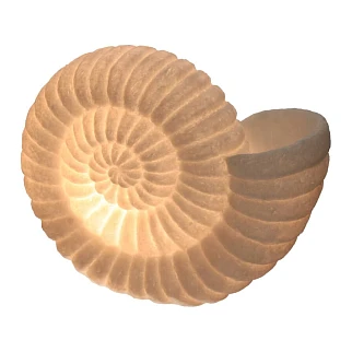 Настольная лампа в форме раковины Kersten (33.8x15.5x26.3 см)