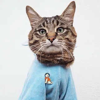 Значки Heart of Moscow Космос