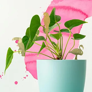 Украшение для растений Another Studio Тукан