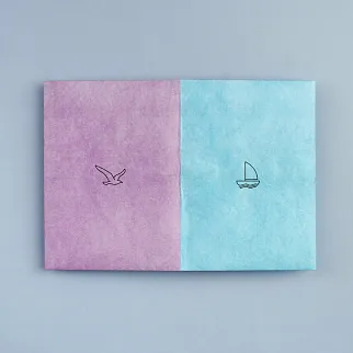 Обложка для паспорта из тайвека New Wallet Чайка и лодка