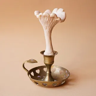 Ароматическая свеча Unification Love Лисичка охра