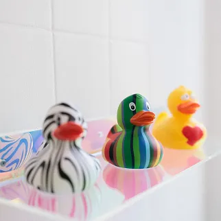 Утка разноцветная