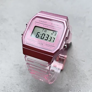 Часы Casio F-91WS-4EF