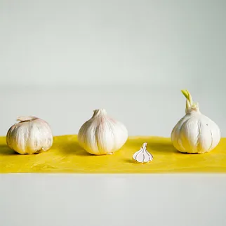 Значок Friend Function Чеснок