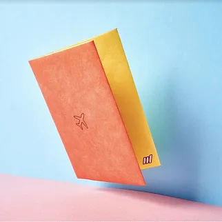 Обложка для паспорта из тайвека New Wallet Билет и самолёт