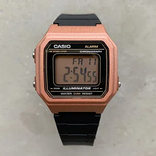 Часы Casio W-217HM-5AVEF