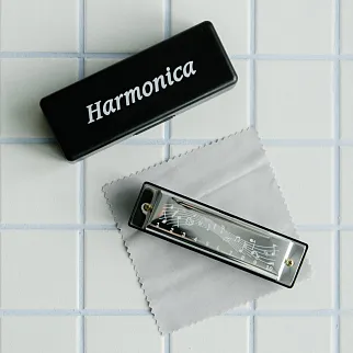 Губная гармошка Friend Function