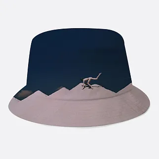 Панама Akomplice AK x Synchrodogs