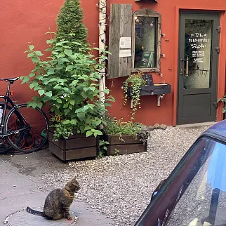 Экскурсия Петроградский кофейник: гостеприимство и спешелти-кофейни Петроградской стороны, 22 марта