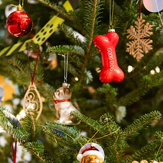 Елочная игрушка Kersten Косточка