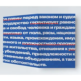 Обложка для паспорта из тайвека New Wallet New Law