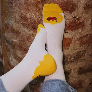 Носки Friend Function Утиные 40-46