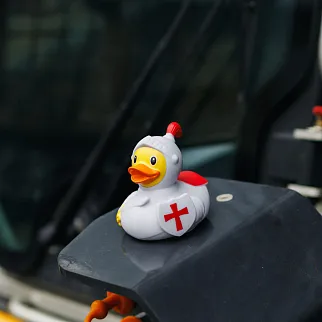 Утка Рыцарь