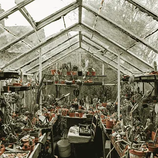 Книга Evergreen