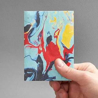 Обложка для паспорта из тайвека New Wallet New Woodstock