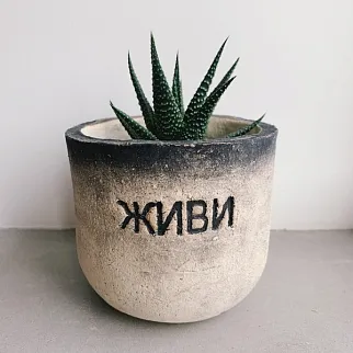 Керамический горшок Живи