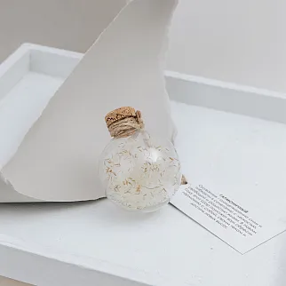 Зачарованный подарочный шар Гармоничный