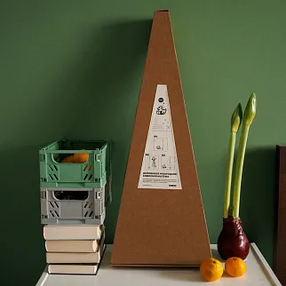 Деревянная новогодняя самосборная елка Friend Function с ароматом хвои