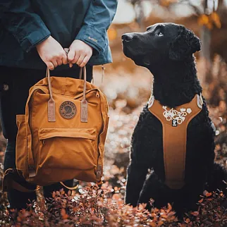 Рюкзак Fjallraven Kanken No2 Acorn (166)