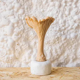 Ароматическая свеча Unification Love Лисичка охра