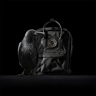 Рюкзак Fjallraven Kanken No2 ALL BLACK