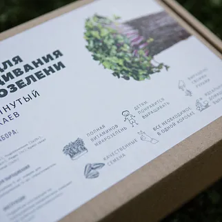 Набор для выращивания микрозелени