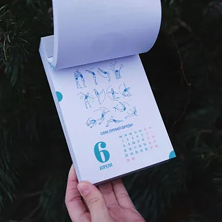 Отрывной календарь Friend Function 2024