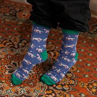 Носки Friend Function Голубые коняшки 36-40