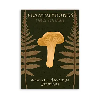 Деревянная брошка PlantMyBones Лисичка
