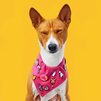 Значки Serious about