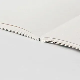 Блокнот Falafel Books А5 Cosmosaurus