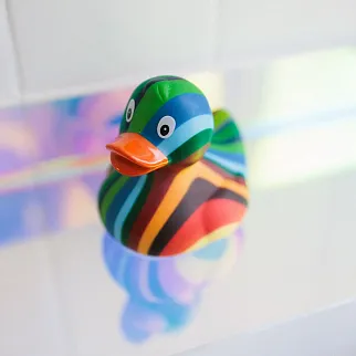 Утка разноцветная