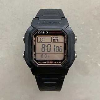 Часы Casio W-800HG-9A