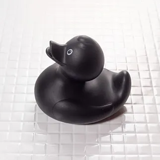 Утка Черная