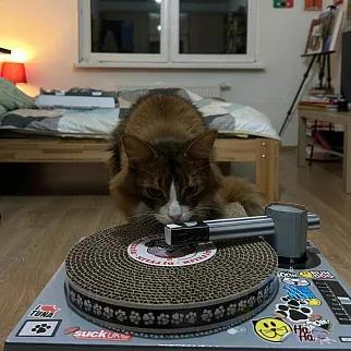 Когтеточка DJ CAT