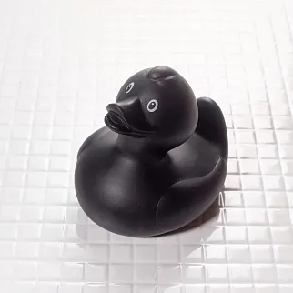 Утка Черная