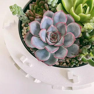 Бетонное кашпо в виде панельки белое