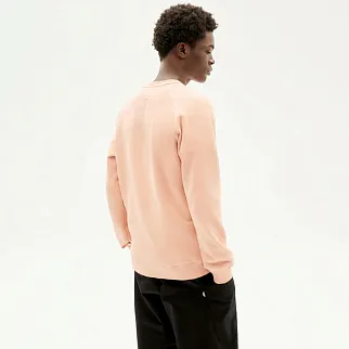 Свитшот Thinking Mu Funghi 3 Pink мужской