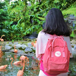 Рюкзак Fjallraven Kanken Flamingo Pink (450)