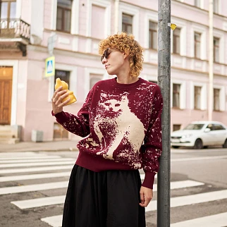 Свитер Friend Function Котяра